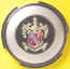 '50 Buick Steering Wheel hub plastic car emblem