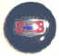 '47 Chevrolet steering wheel hub plastic car emblem