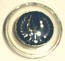 1967 Imperial hood ornament plastic insert emblem
