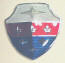1954 Meteor Hood emblem plastic insert Canadian